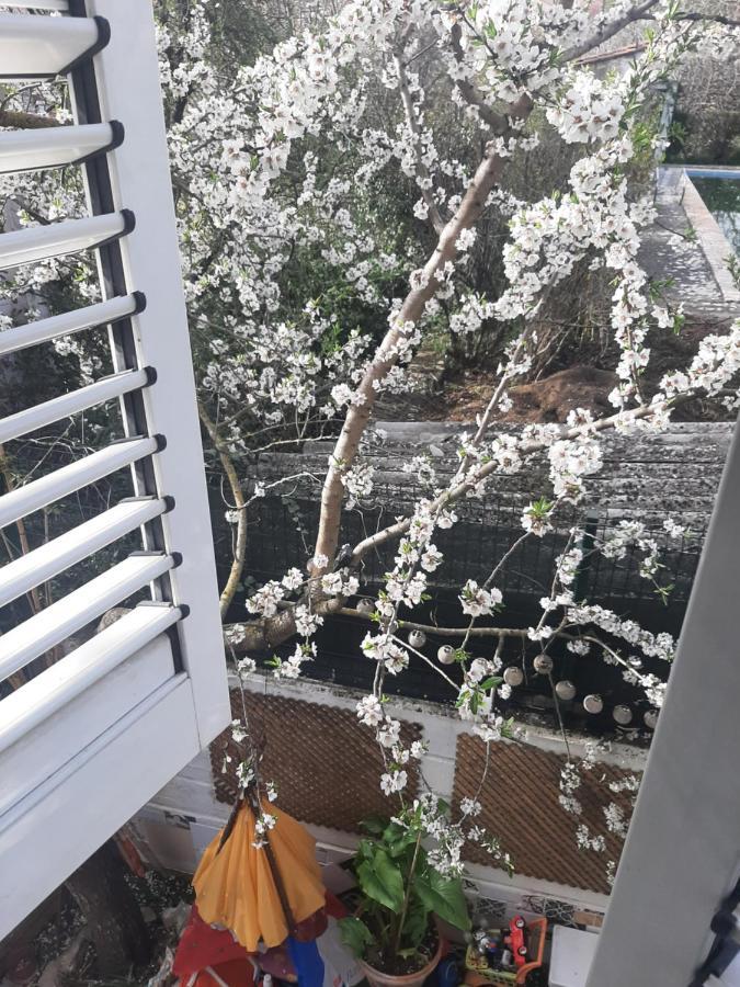 Baldissera Apartment *